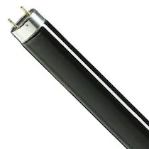 Erikoisloisteputket