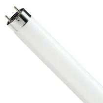 Loisteputket T8 (TL-D)