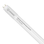 Ledvance LED Putki T8 Performance (HF) High Output 20W 3100lm - 840 Kylmä Valkoinen | 150cm - Korvaa 58W