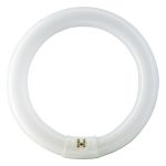 Osram T9 Lumilux Circline 32W - 840 Kylmä Valkoinen | 30cm
