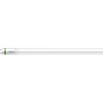 Philips MASTER LED Tube T8 (EM/Mains) Ultra Efficiency 17.6W 3700lm - 865 Päivänvalo Valkoinen | 150cm - Korvaa 58W
