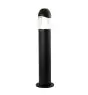 Ansell LED Jalustalamppu Leo Grafiitti 12W 940lm - 830-840 CCT | 75cm - IP65