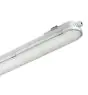 Philips LED Loisteputkivalaisimet Vedenkestävä CoreLine WT120C G2 66W 8000lm - 840 Kylmä Valkoinen | 150cm - Hätävalaistus 3 Tuntia 