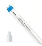Philips LED Putki T8 CorePro (EM/Mains) High Output 8W 900lm - 865 Päivänvalo Valkoinen | 60cm - Korvaa 18W