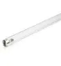 Philips T8 UV - C 36W - Ultravioletti | 120cm