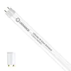 Ledvance LED Putki T8 Value (EM/Mains) Standard Output 6.6W 800lm - 865 Päivänvalo Valkoinen | 60cm - Korvaa 18W