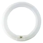 Osram T9 Lumilux Circline 32W - 840 Kylmä Valkoinen | 30cm