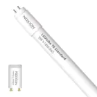 Noxion LED Putki T8 Avant (EM/Mains) Standard Output 7.5W 900lm - 865 Päivänvalo Valkoinen | 60cm - Korvaa 18W