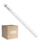 Monipakkaus 10x Philips Master LED Putki T8 (EM/Mains) High Output T8 7.6W 1150lm - 840 Kylmä Valkoinen | 60cm - Korvaa 18W