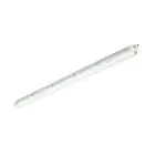 Philips LED Loisteputkivalaisimet Vedenkestävä CoreLine WT120C Gen2 25/43W 3700/6000lm - 840 Kylmä Valkoinen | 150cm