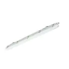 Philips LED Loisteputkivalaisimet Vedenkestävä Ledinaire WT065C 23/42W 2900/4800lm - 840 Kylmä Valkoinen | 120cm