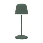 Eglo Pöytävalaisin Mannera-S Aluminium Vihreä 1W 170lm - 825-830-840 CCT | IP54 - Touch Himmennettävä