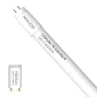 Noxion LED Putki T8 Avant (EM/Mains) Standard Output 7.5W 900lm - 830 Lämmin Valkoinen | 60cm - Korvaa 18W