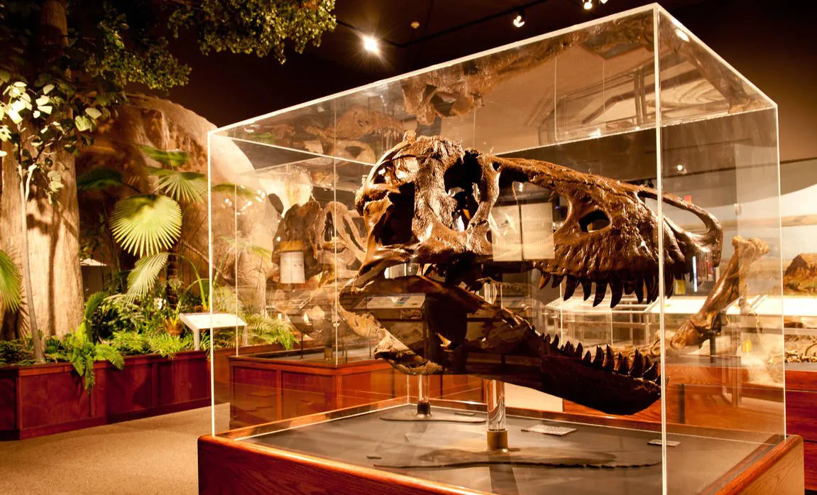 LED spotit museoissa